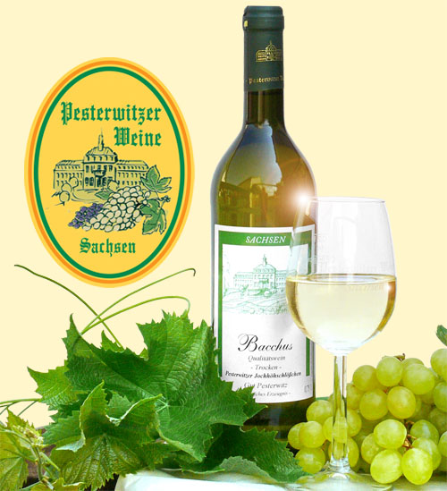 Pesterwitzer Weine