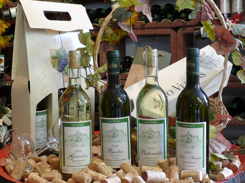 Weißwein - Gut Pesterwitz bei Dresden