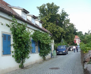 An der Sächsischen Weinstraße