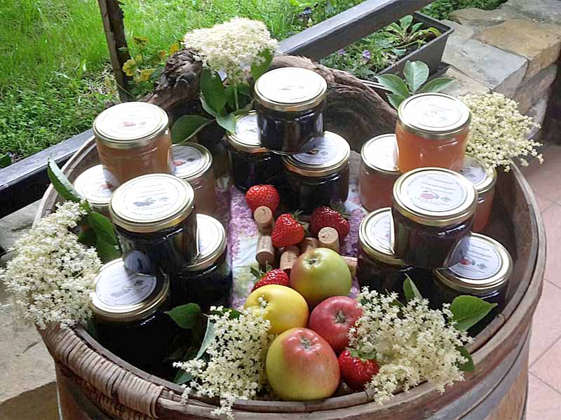 Pesterwitzer Obstgelees